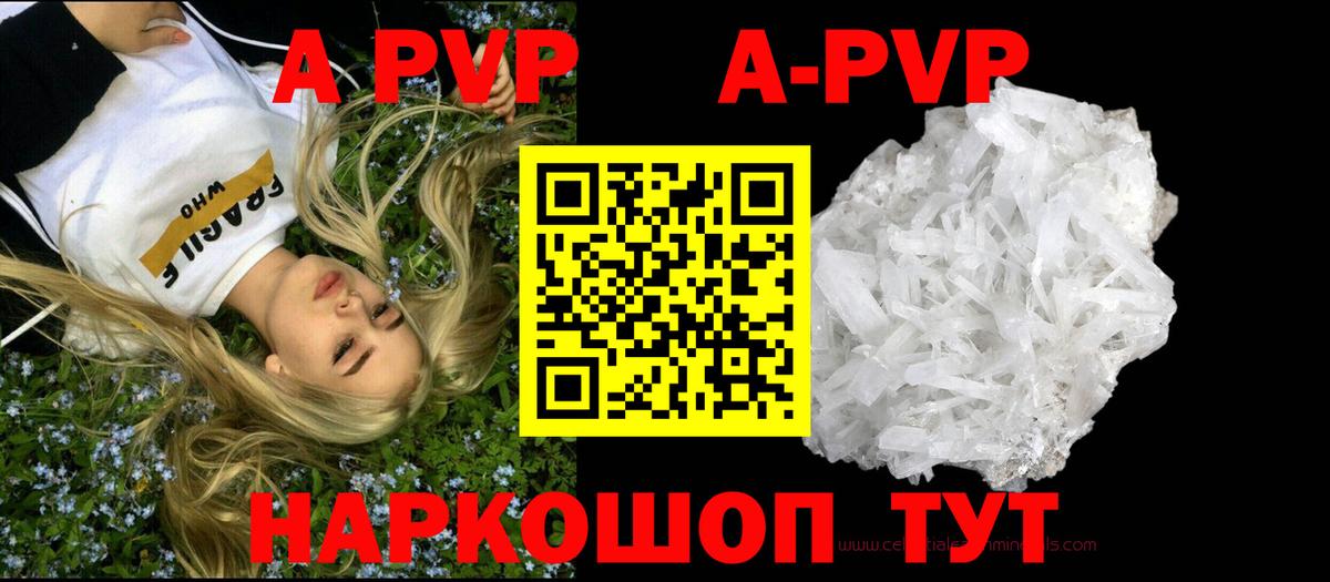 Альфа ПВП СК Саранск