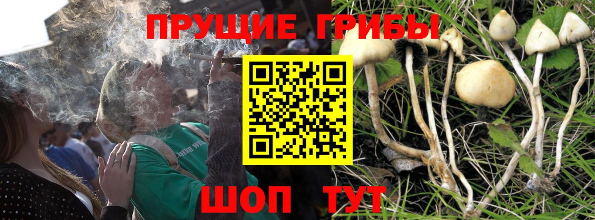 Галлюциногенные грибы прущие грибы Саранск