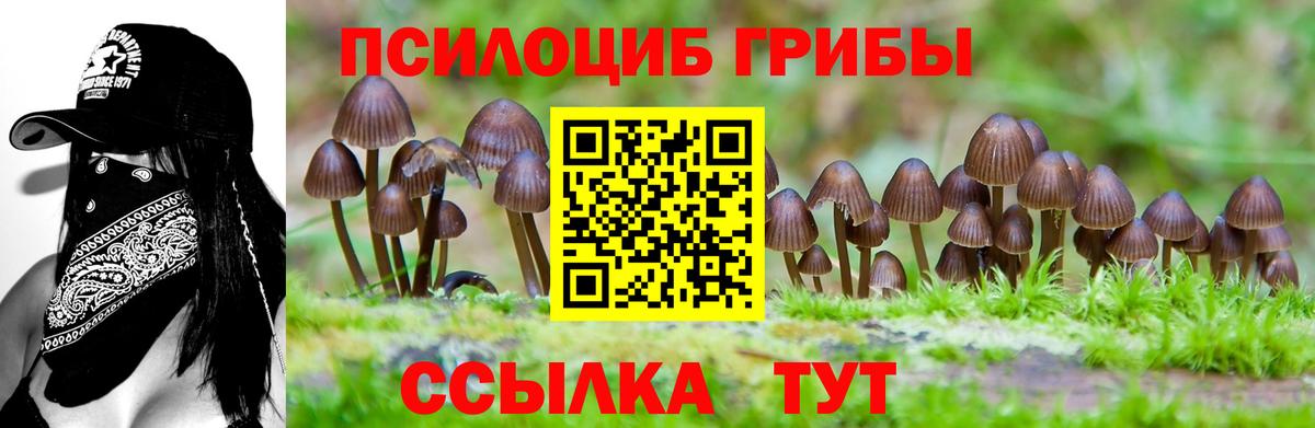 Галлюциногенные грибы мухоморы  Псилоцибиновые грибы ЛСД  Саранск  Вход с VPN 